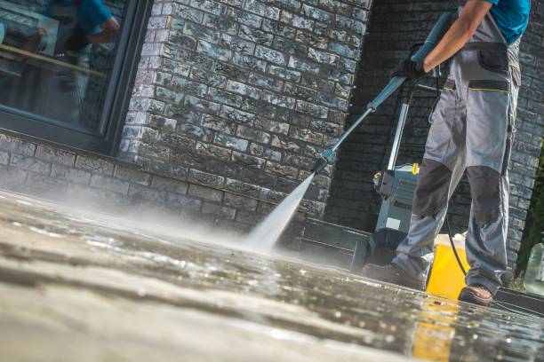 Best Animal Enclosure Cleaning  in West Melbourne, FL