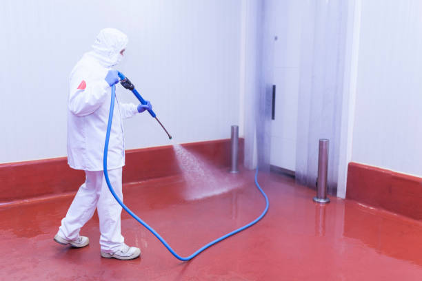 Best Roof Washing  in West Melbourne, FL